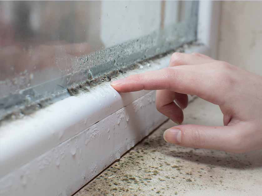 Fog Forms in Your Windows