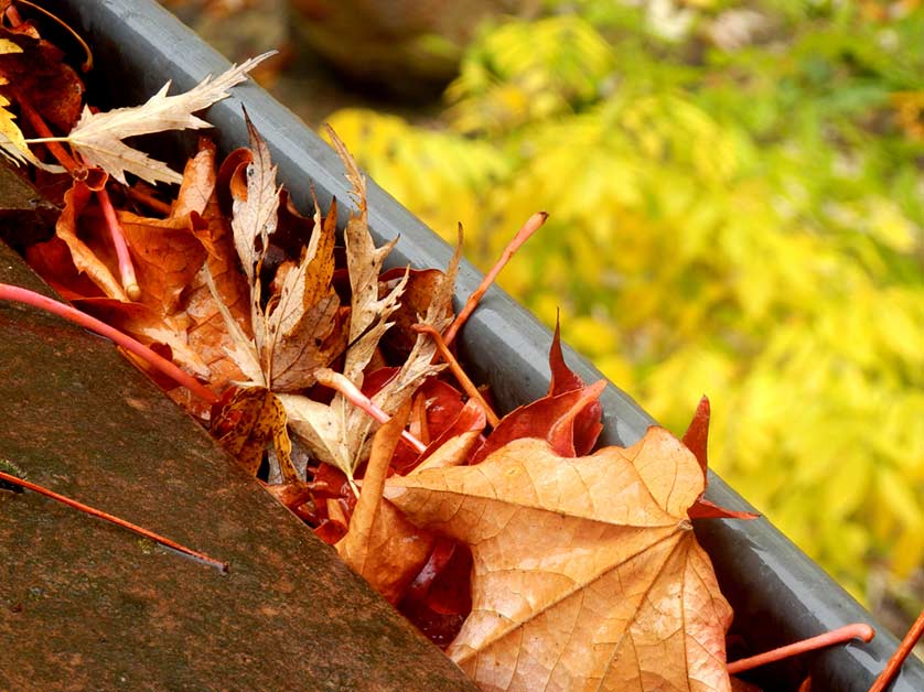 Things That Can Clog Your Gutters