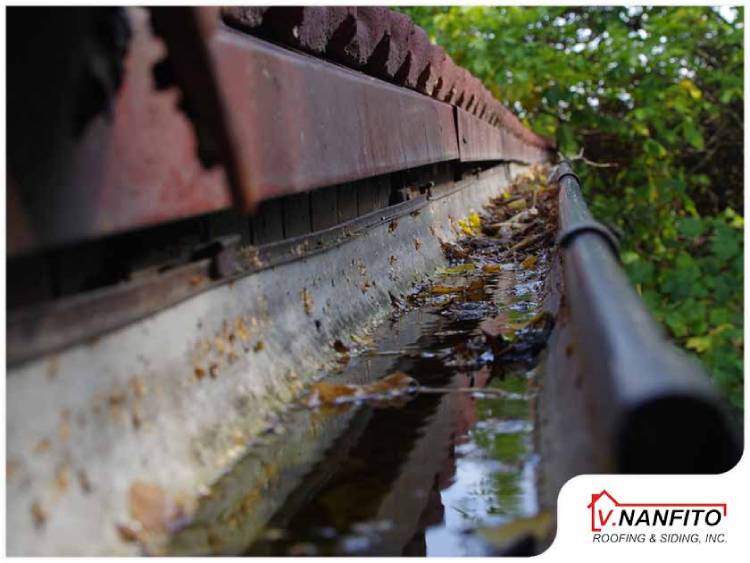 Consequences of Standing Water in Gutters