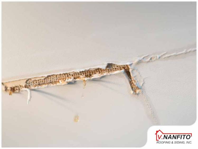 What Factors Affect the Cost of a Roof Replacement