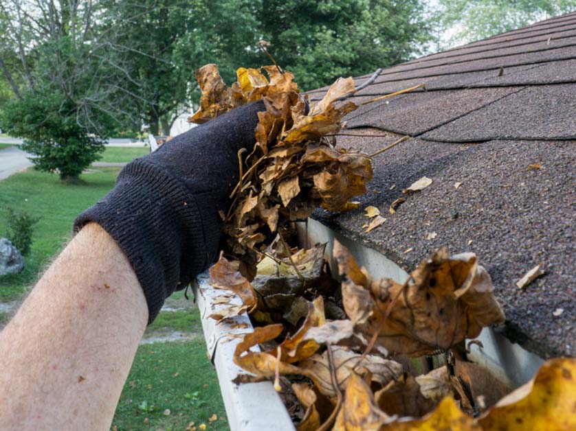 Causes Gutters to Get Clogged