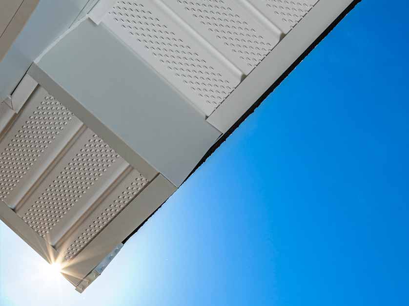 Soffit and Fascia Damage