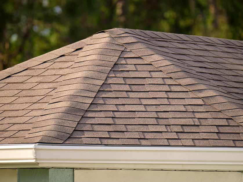 Roofer Installed Your Shingle Roof Well