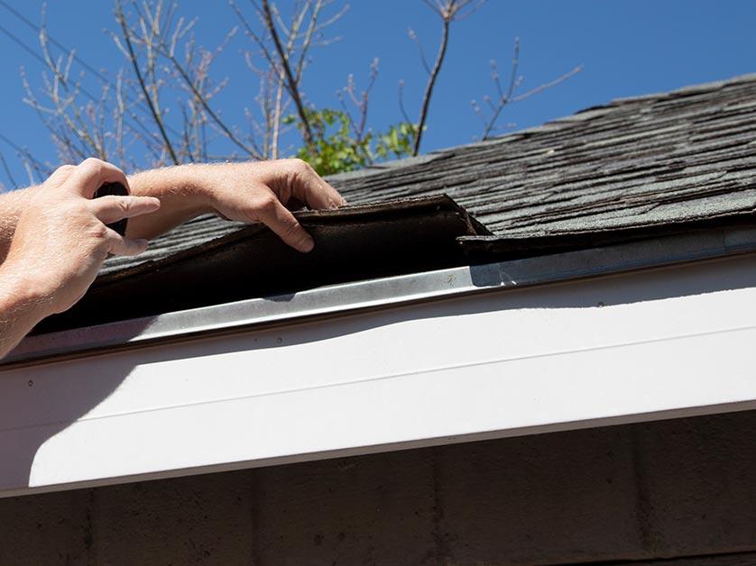 Professional Roof Inspection