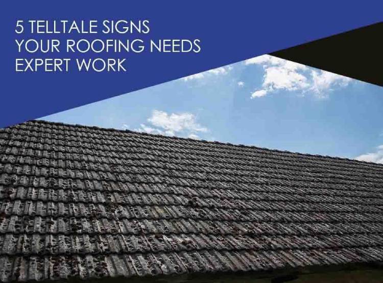 5 Telltale Signs Your Roofing Needs Expert Work