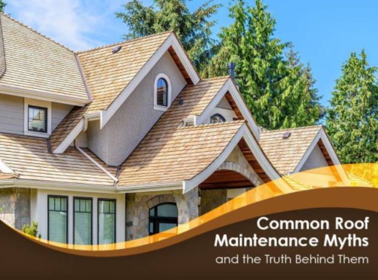 Common Roof Maintenance Myths and the Truth Behind Them