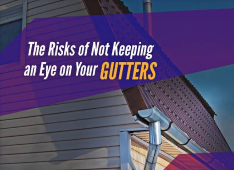 The Risks of Not Keeping an Eye on Your Gutters