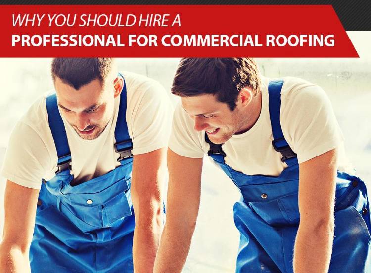 Why You Should Hire a Professional for Commercial Roofing